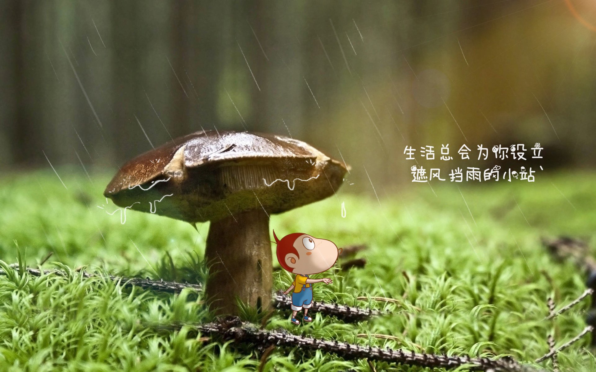 开云中国大陆-“年轻球员崭露头角，成为各大豪门争夺的焦点”，七位最值得你在今夏关注的年轻球员