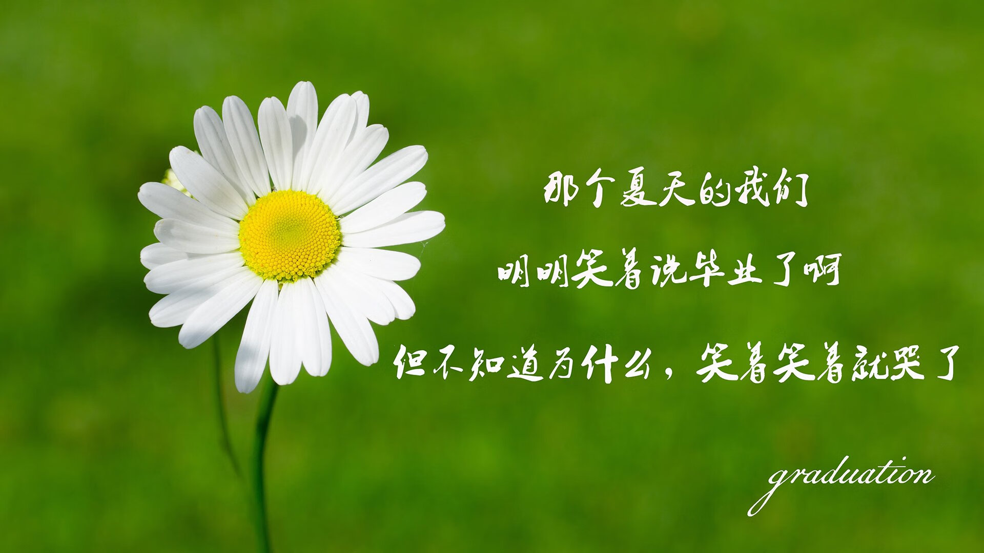 开云官网APP下载-圣保罗后卫卢卡斯·贝拉尔多加盟葡萄牙球队，寻求更多机会，保罗贝尔纳多和卡拉