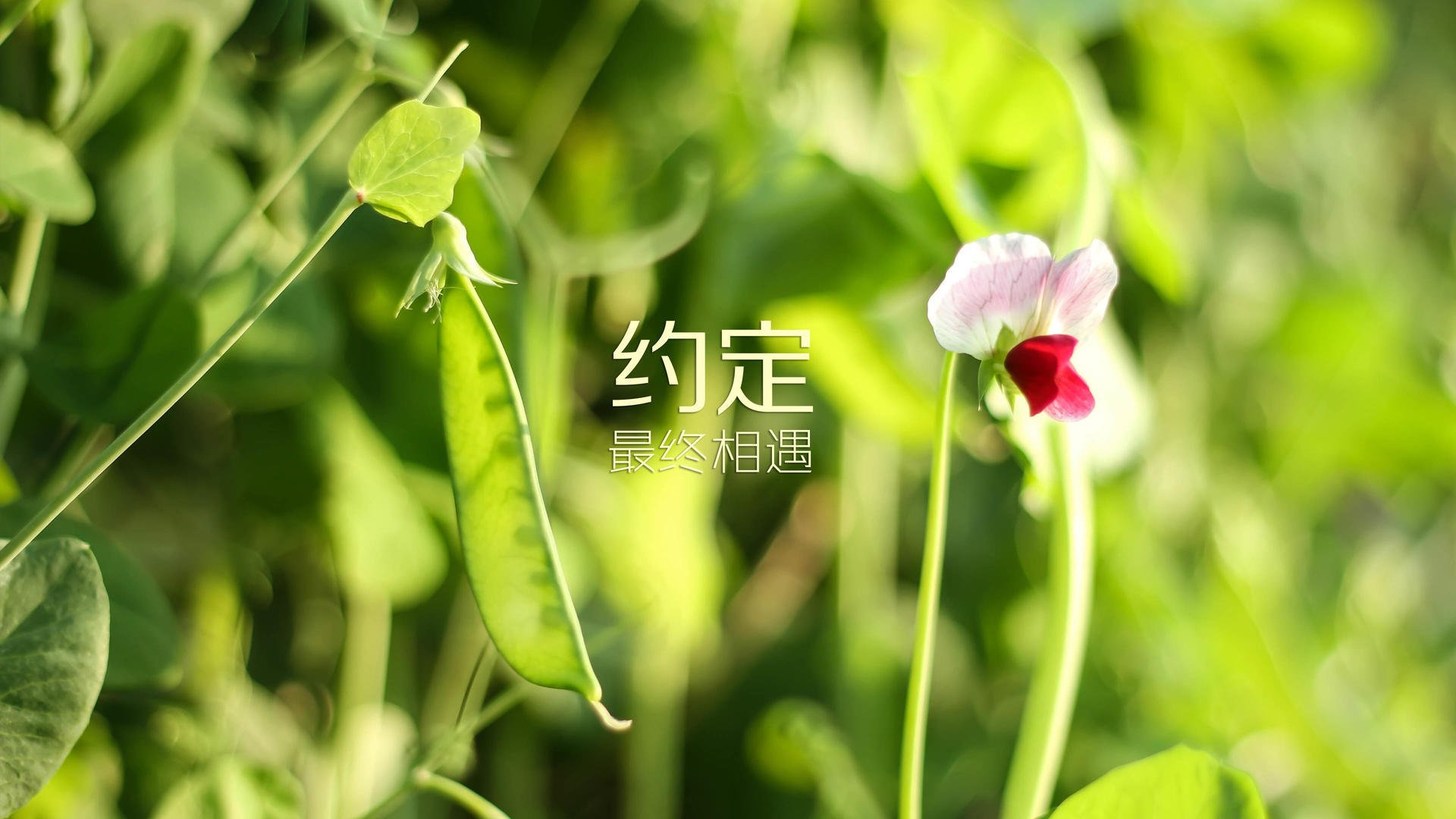 开云入口-未来联盟：虚拟房间、沉浸式体验令人期待，虚拟未来乐园
